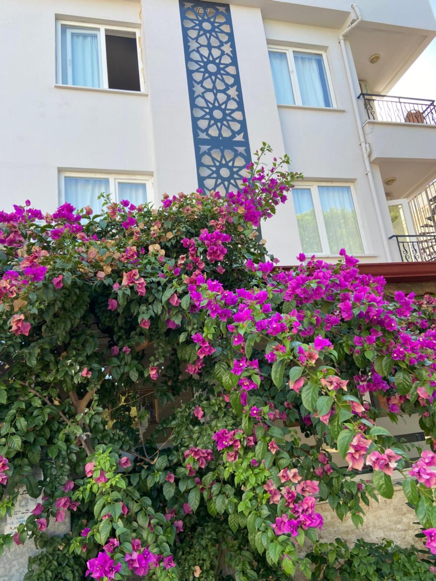 אנטליה Serenity Suites Hotel מראה חיצוני תמונה